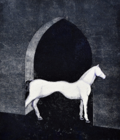 Sysihäntäinen hevonen (2023), monotypia kankaalle, 23,5 cm x 20 cm